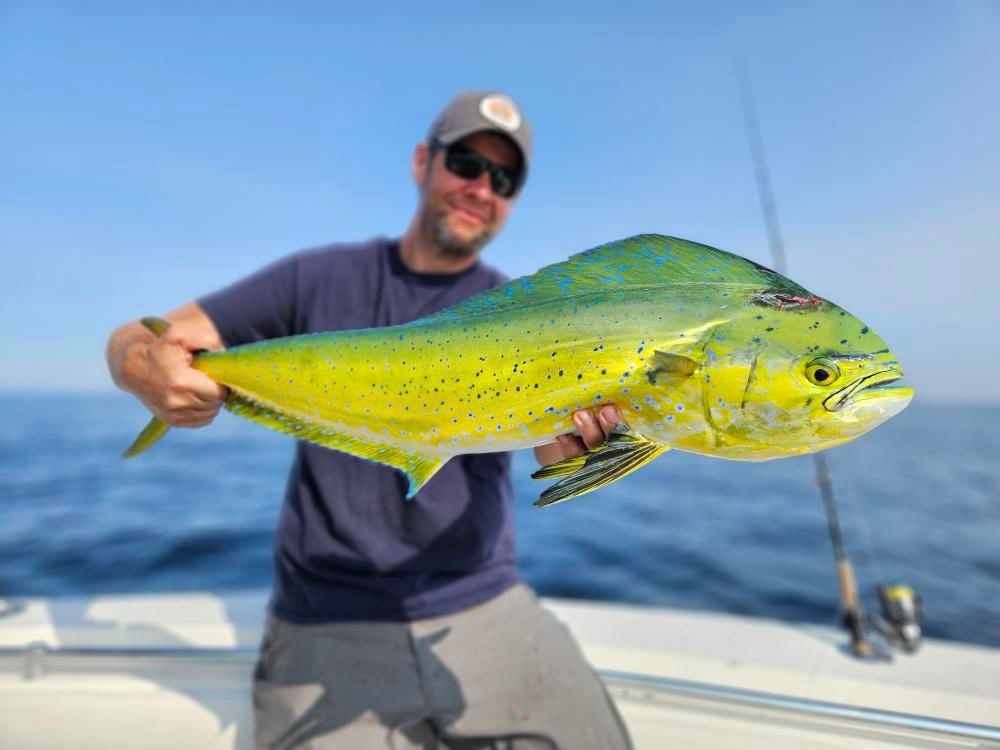 Comment attraper Mahi Mahi sur la côte