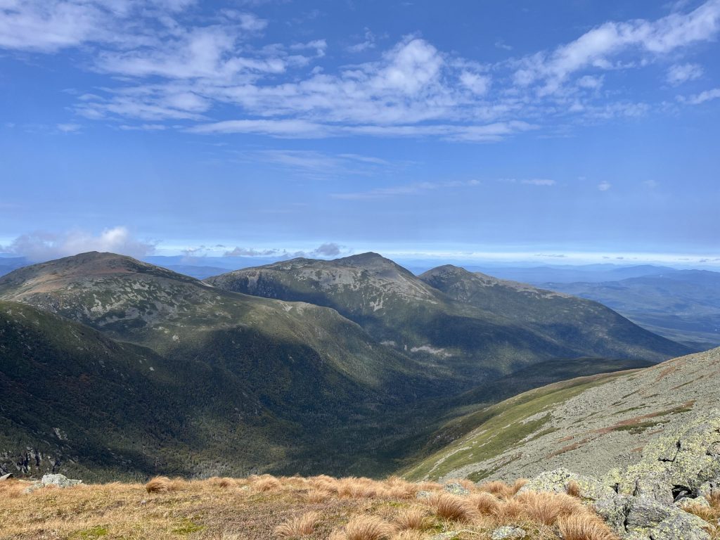 Le pourquoi des blancs