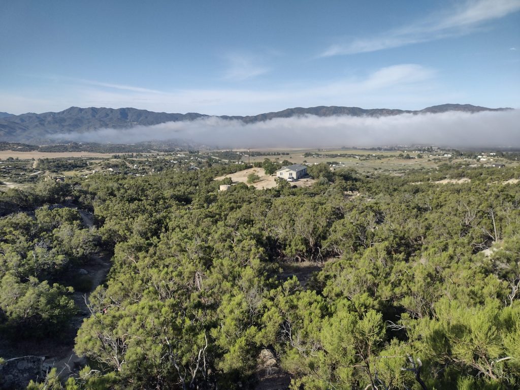 Les flics, le café, les victimes, les crap-in-pants, les bandes dessinées et la famille californienne