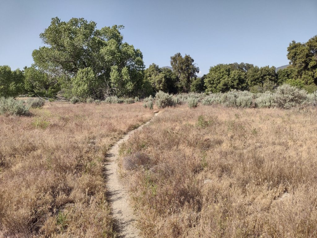 Warner Springs, touché à la tête