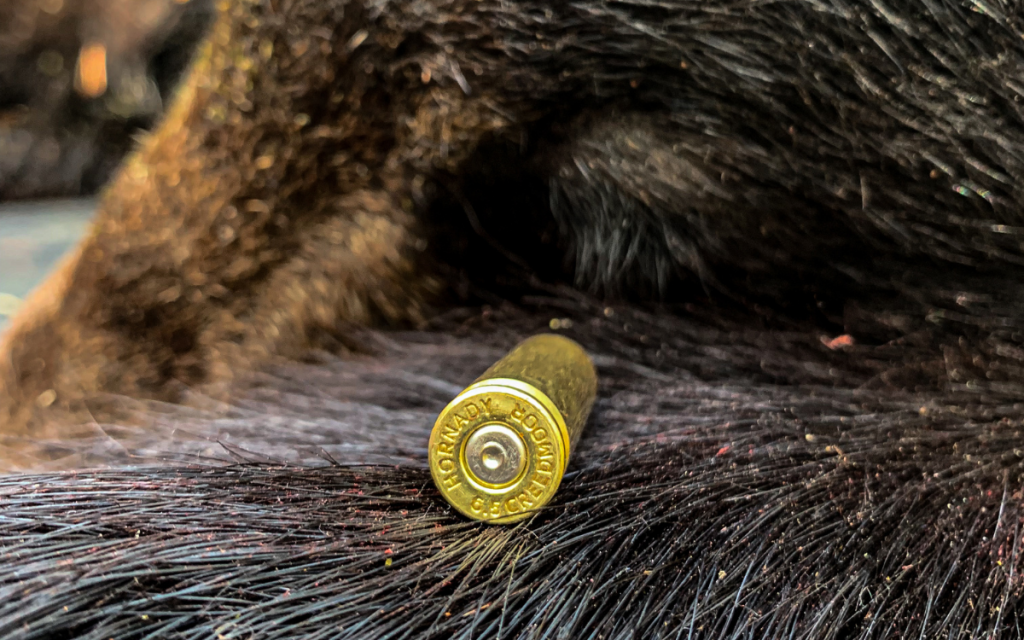 Chasser l'ours noir avec le 6.5 Creedmoor