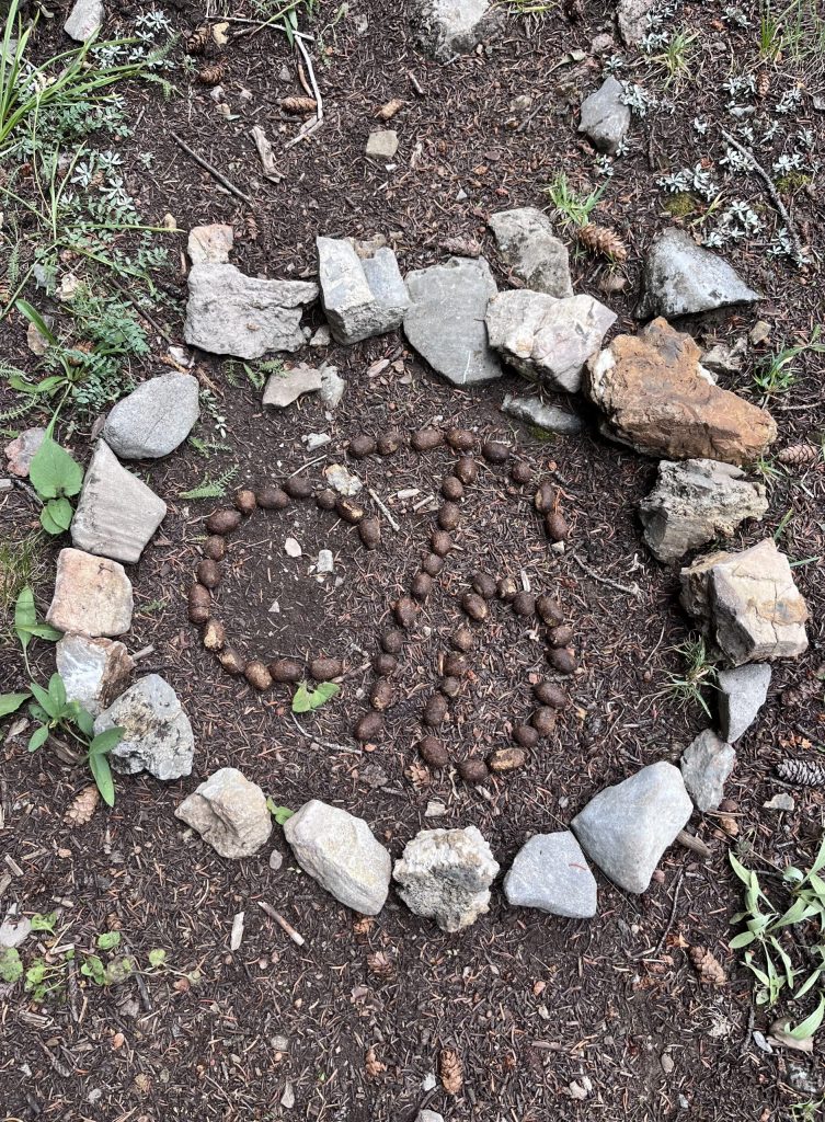 CDT : Fin du « S » à travers le Montana et l'Idaho