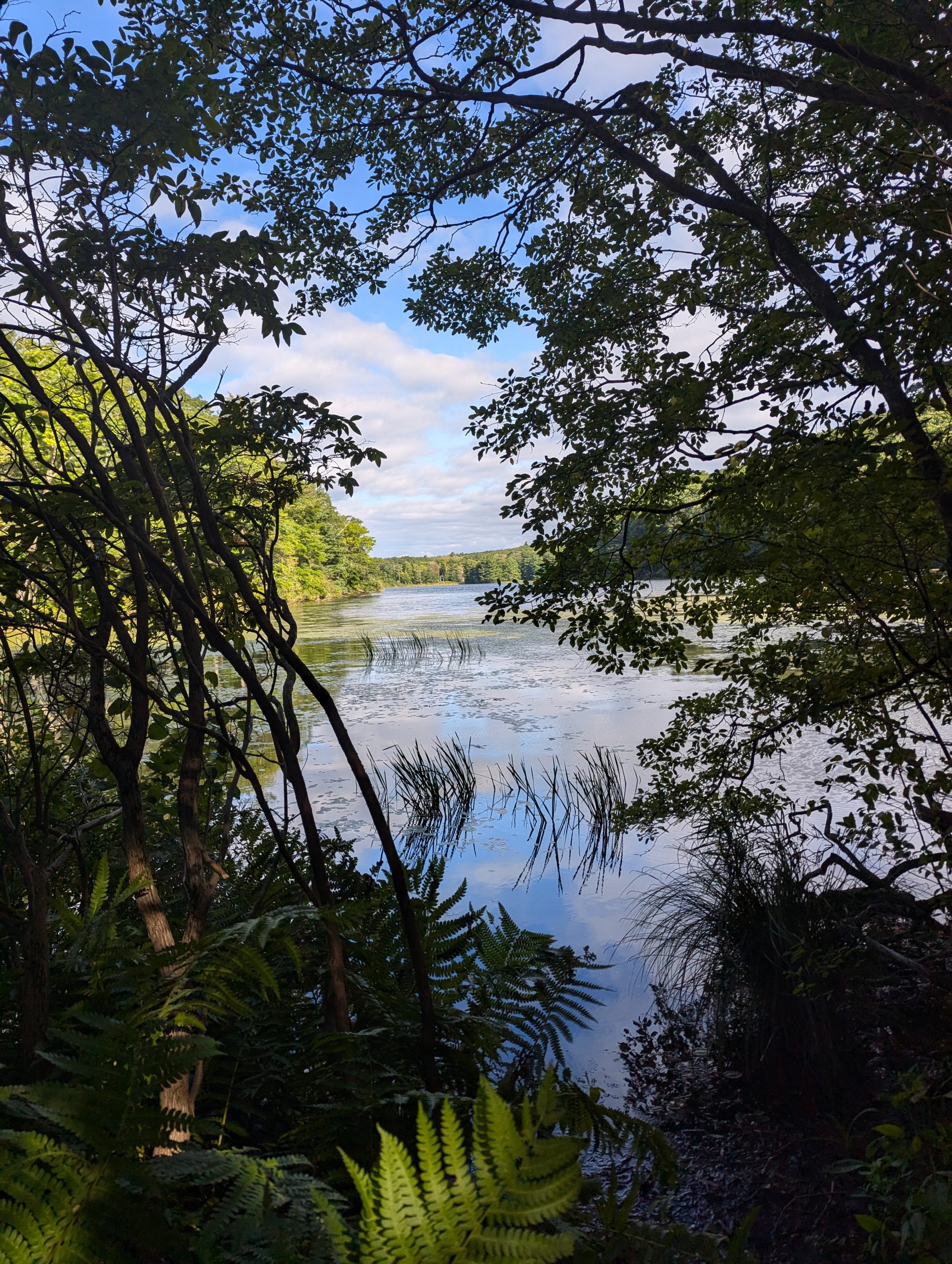 [Titre du site] Jour 141 – Le monde est petit après tout