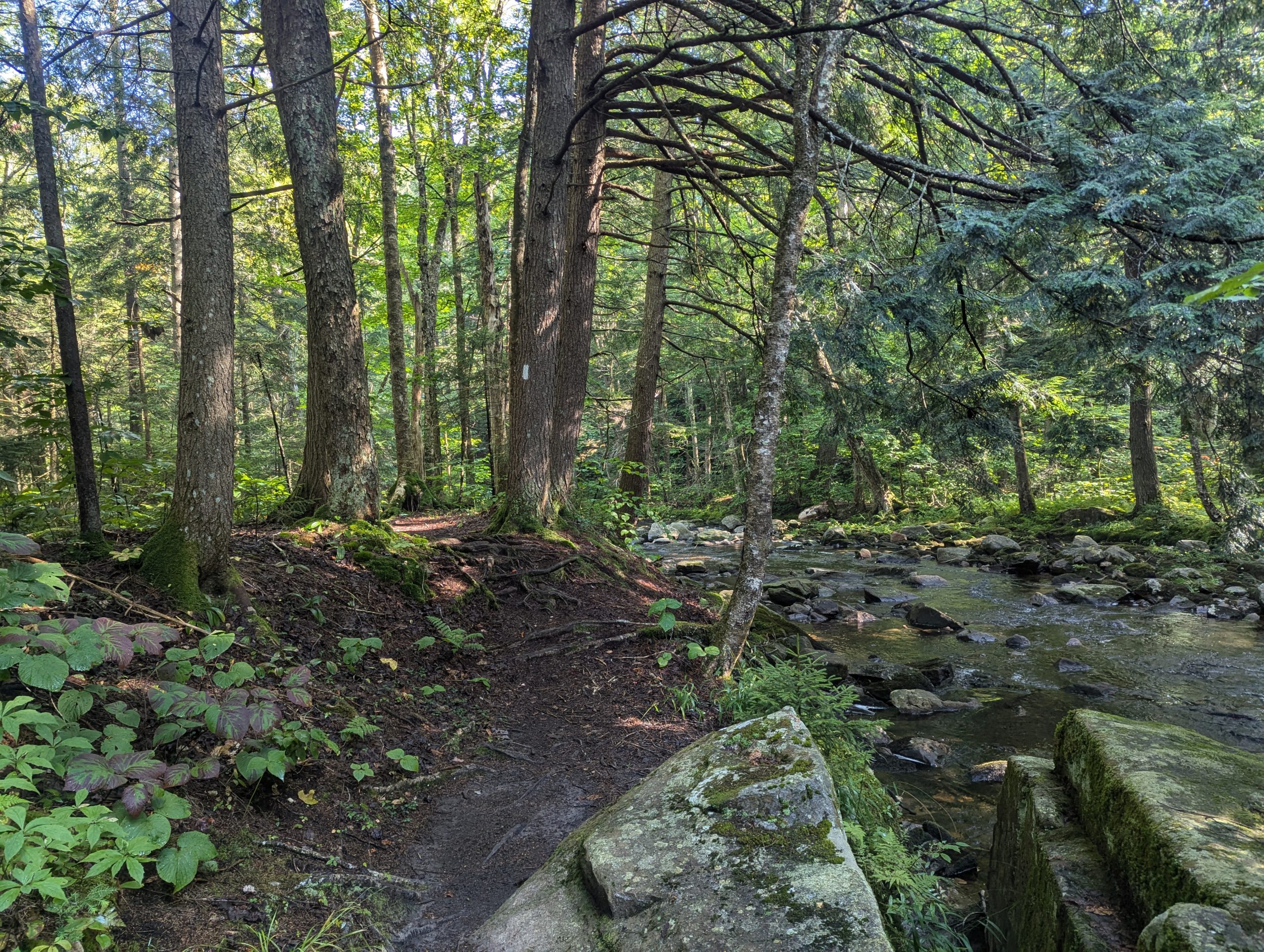 [Titre du site] Jour 146 – Continuez votre randonnée