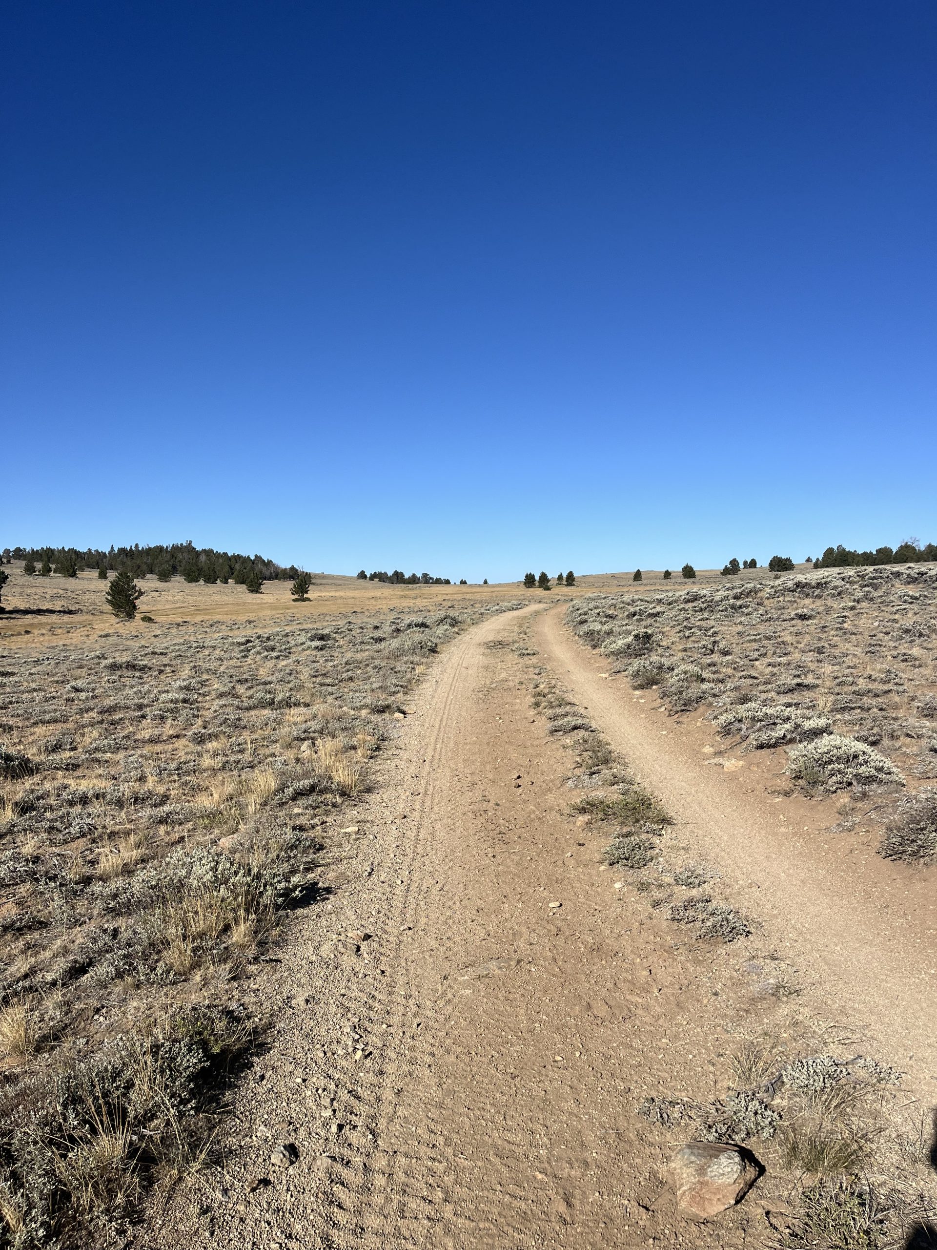 [Titre du site] Une réunion internationale sur le sentier des Appalaches