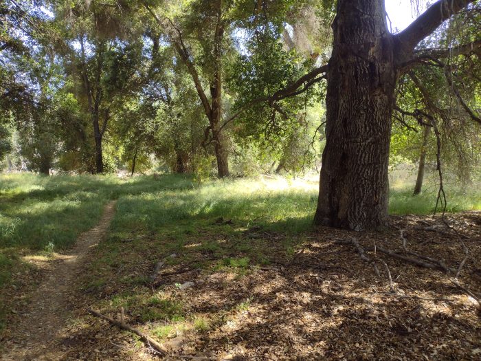 [Titre du site] Warner Springs, touché à la tête