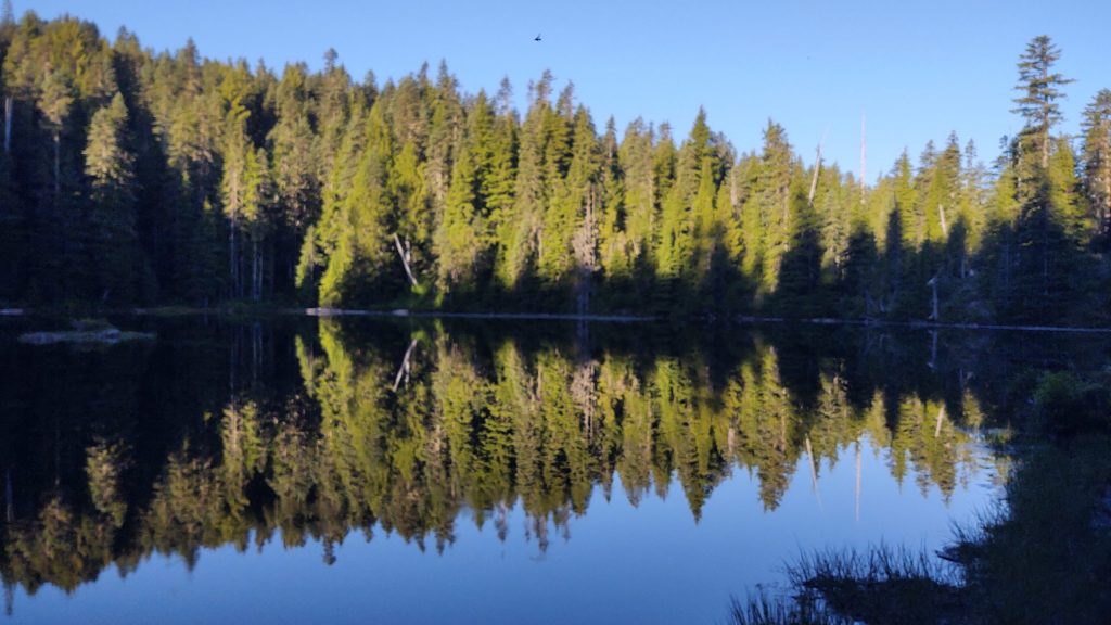 La civilisation et ses mécontentements - Wonderland Trail, quatrième jour