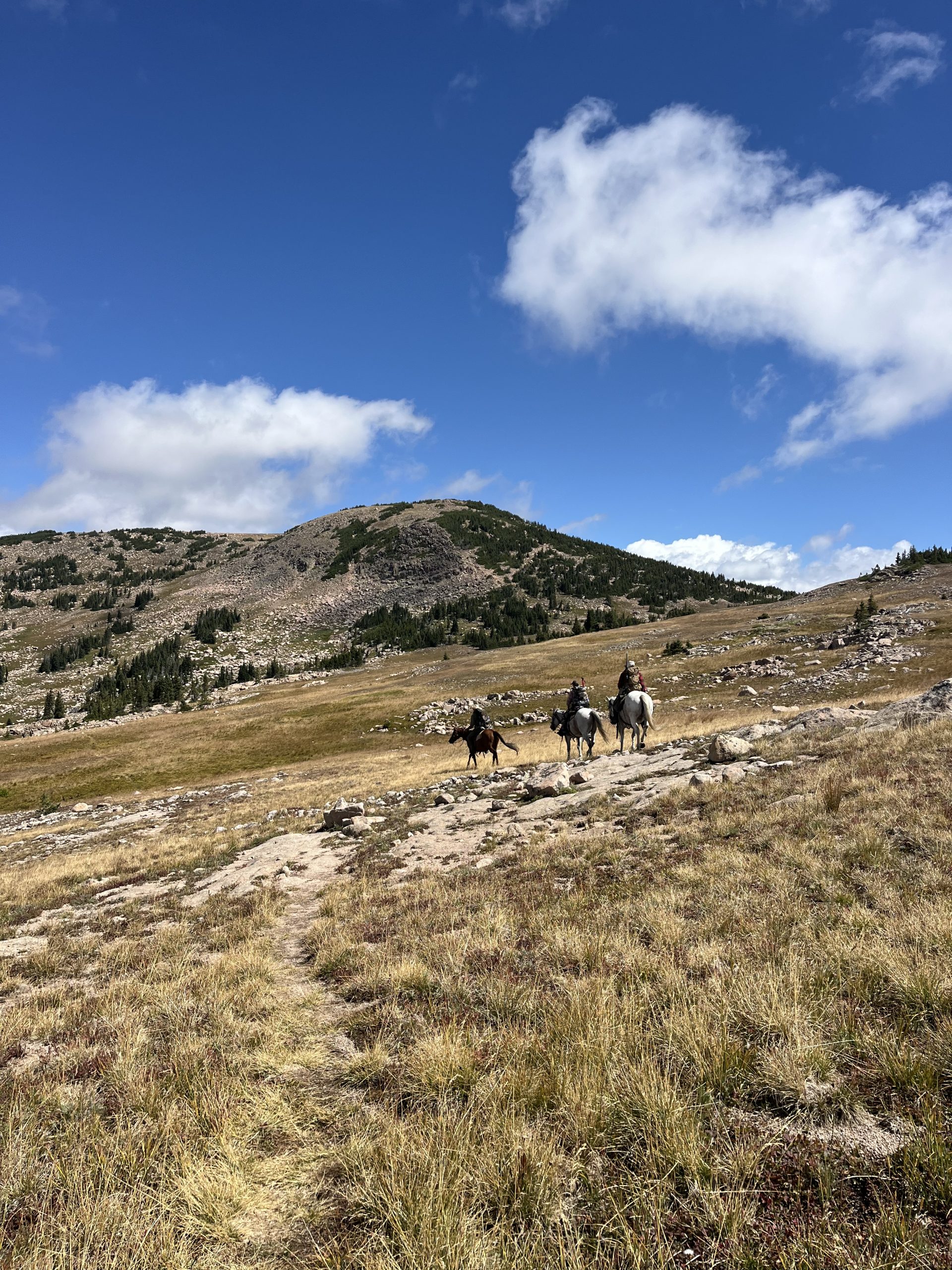[Titre du site] Météo Dangereuse Deja Vous - The Trek