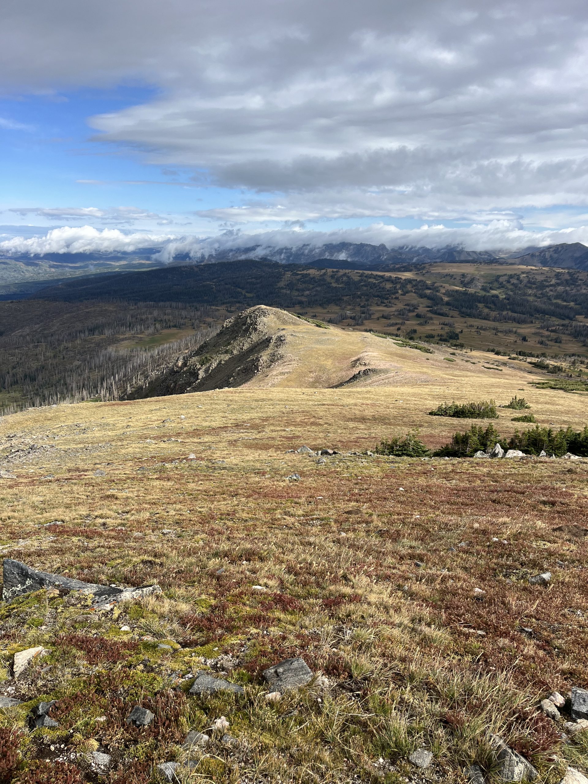 [Titre du site] Météo Dangereuse Deja Vous - The Trek