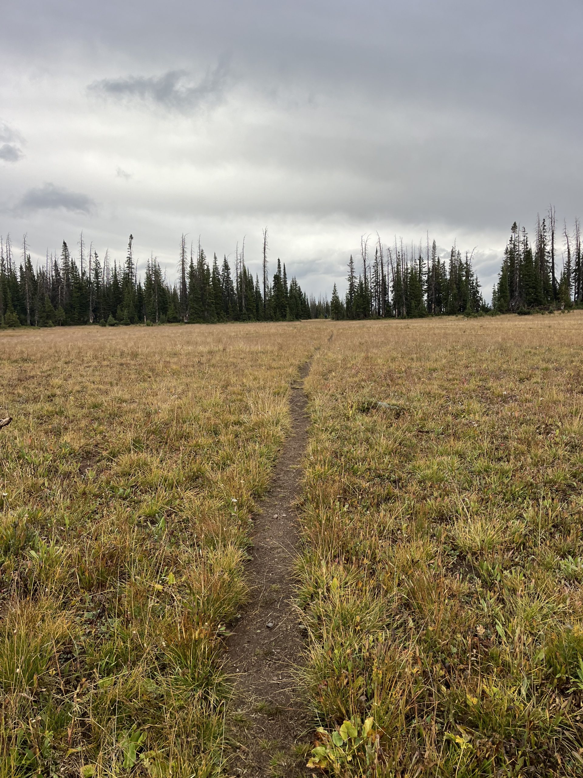 [Titre du site] Météo Dangereuse Deja Vous - The Trek