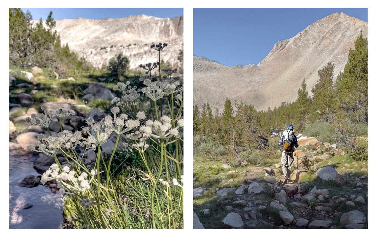 [Titre du site] John Muir Trail Jour 2 : Équipement qui a mal tourné et luttes mentales sur le thème de la montagne