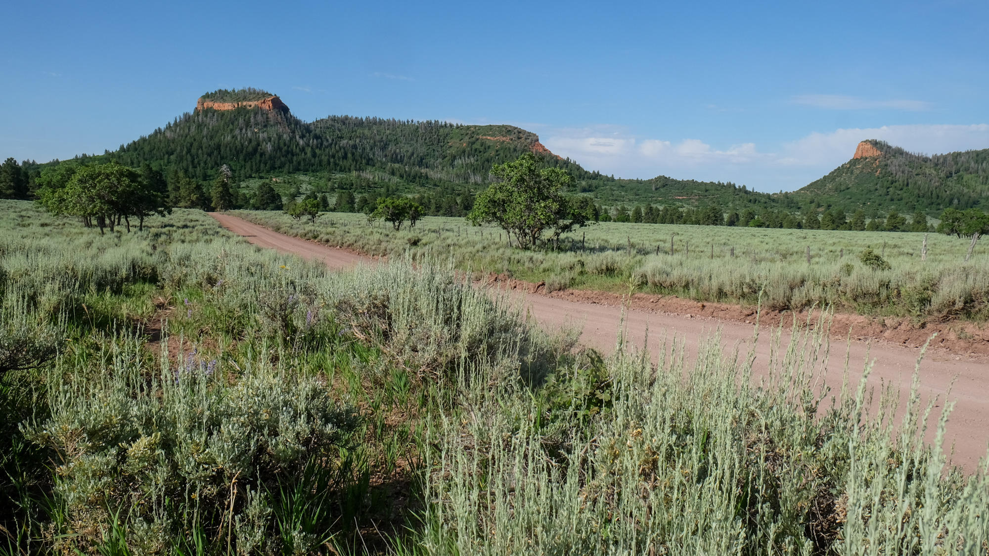 [Titre du site] Le plan final du monument national Bears Ears interdit tout tir récréatif sur 1,3 million d'acres de terrain fédéral