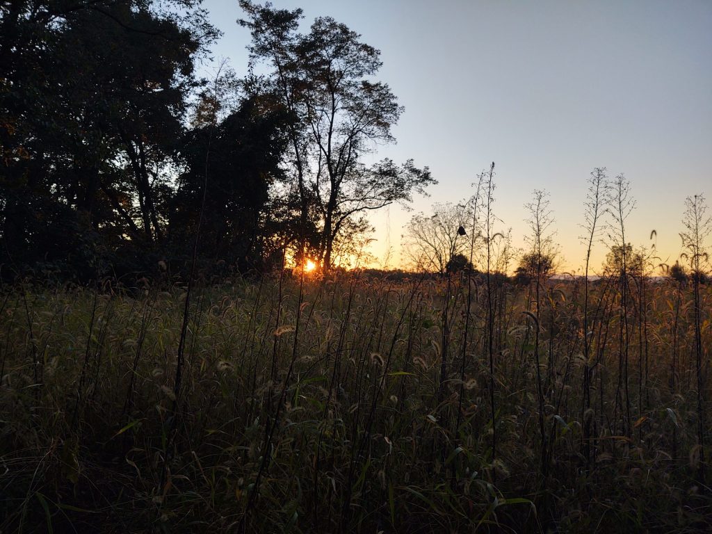 L'évolution d'un randonneur