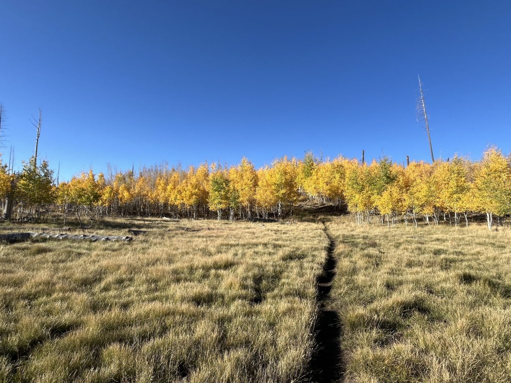 Épisode un : Celui où je marche de Stateline à Tusayan