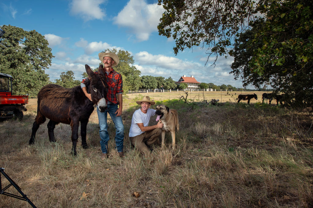 [Titre du site] Découvrez la ferme Grandview conservant une race d'âne attachante