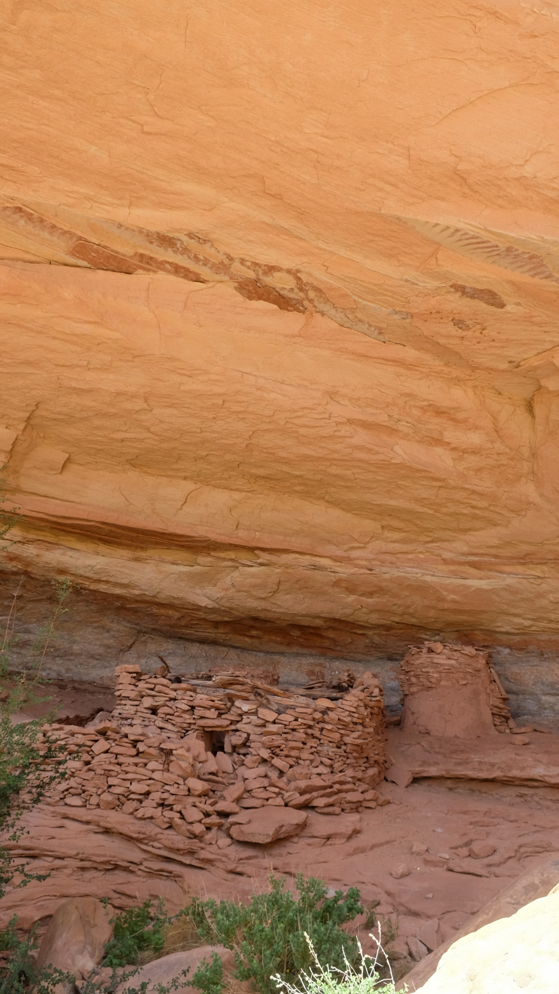 [Titre du site] Des groupes de sportifs contesteront l'interdiction du tir récréatif au monument national Bears Ears