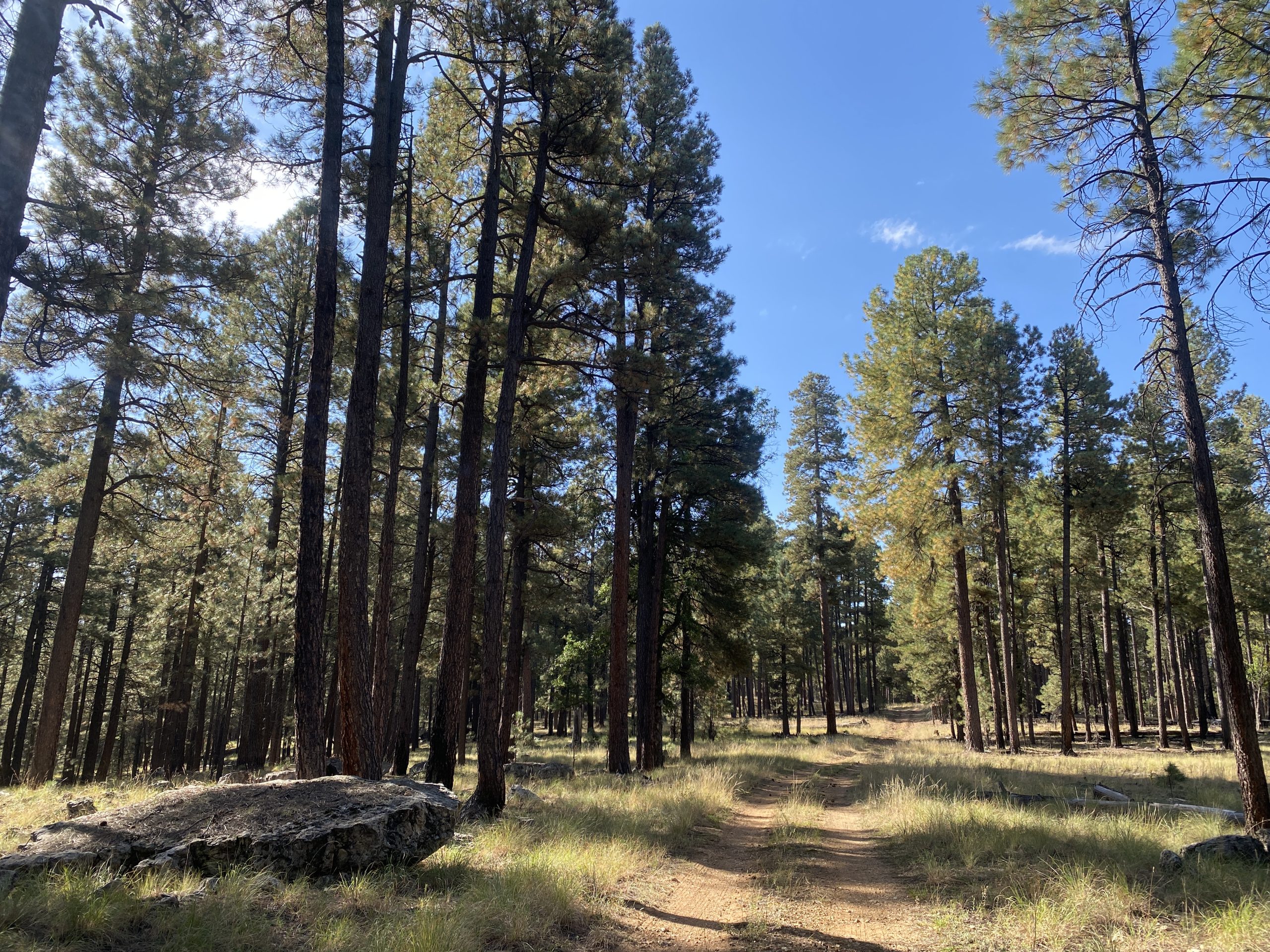 [Titre du site] Détour du feu - Le Trek