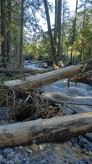 [Titre du site] La civilisation et ses mécontentements - Wonderland Trail, quatrième jour