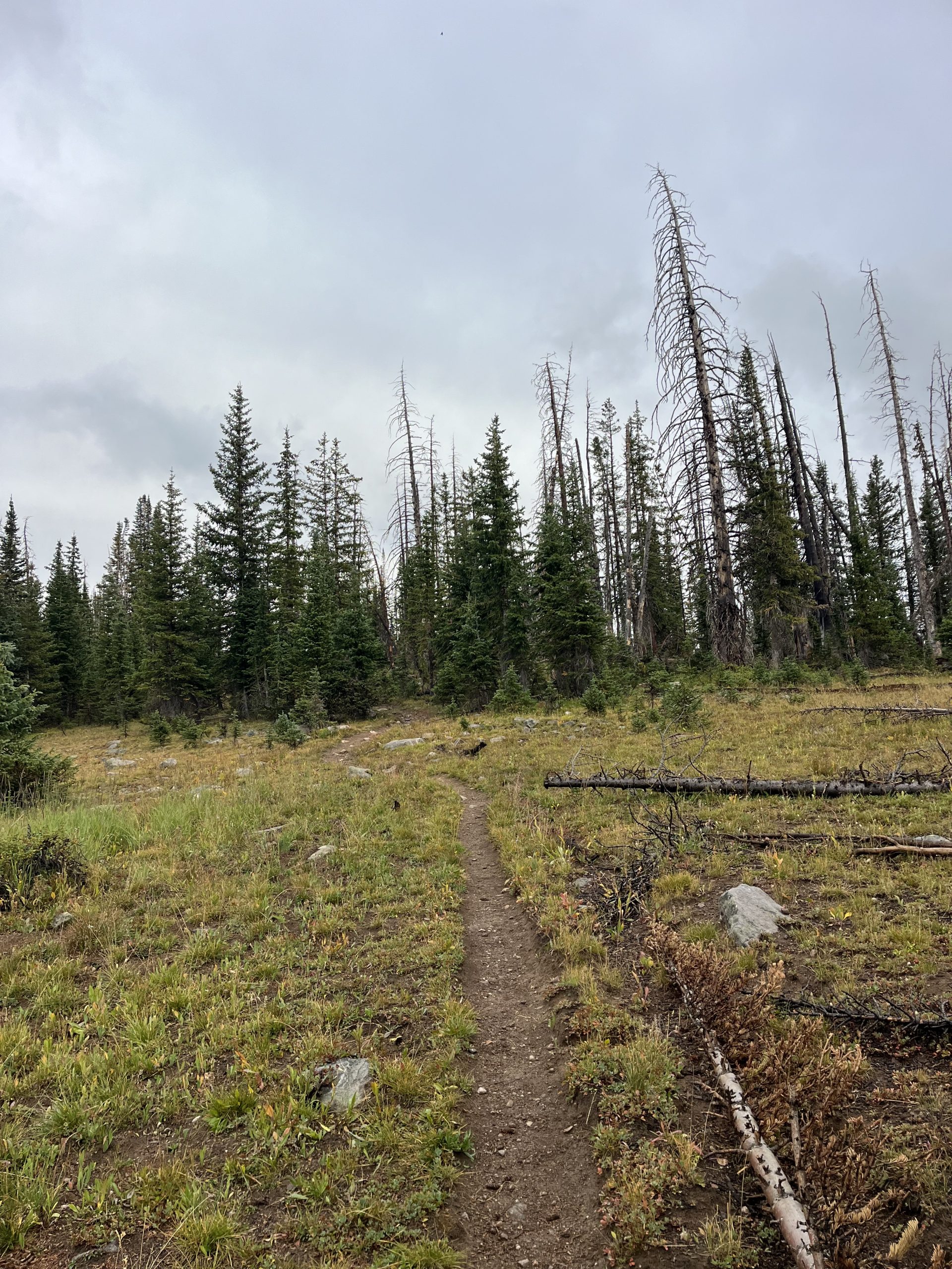 [Titre du site] Météo Dangereuse Deja Vous - The Trek