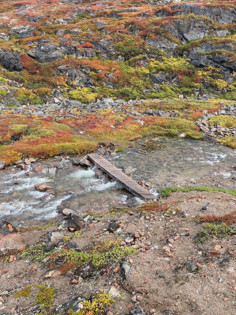 [Titre du site] Dîner gastronomique au nord du cercle polaire arctique