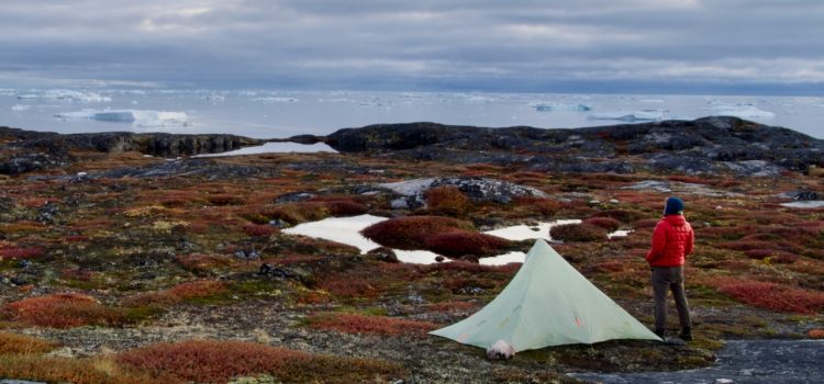 Dîner gastronomique au nord du cercle polaire arctique
