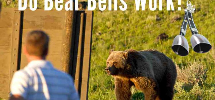 A hiker facing a bear in the wilderness with the text 'Do Bear Bells Work?' and an image of bear bells.