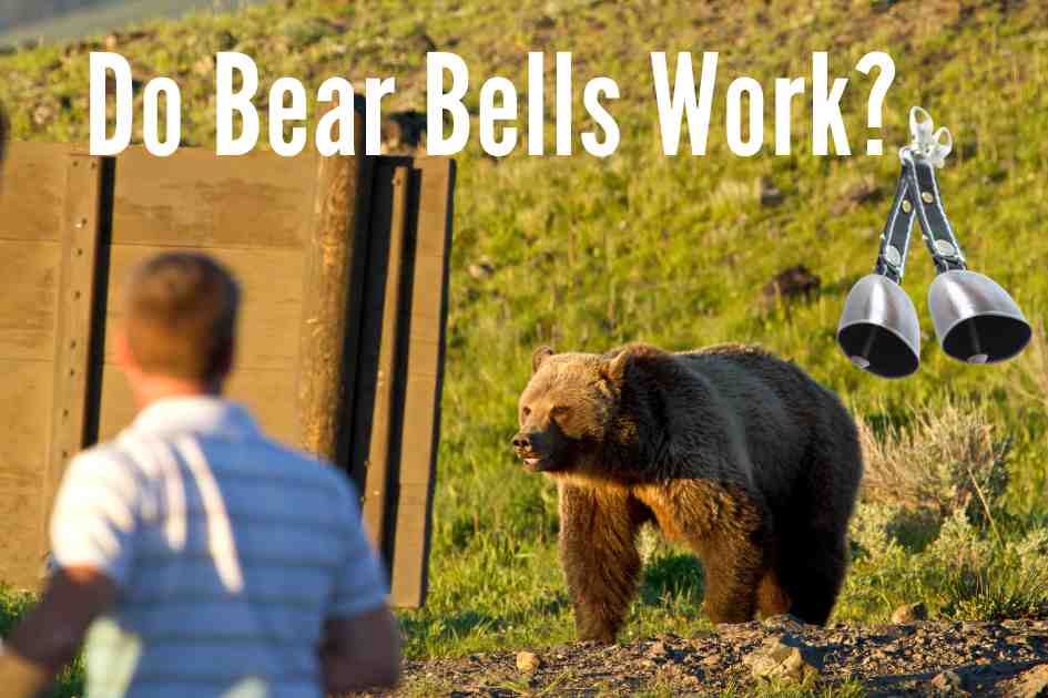 A hiker facing a bear in the wilderness with the text 'Do Bear Bells Work?' and an image of bear bells.