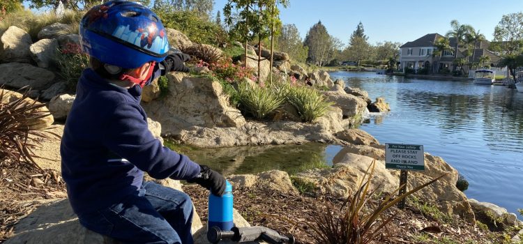 La durabilité en action ! - Dame de randonnée
