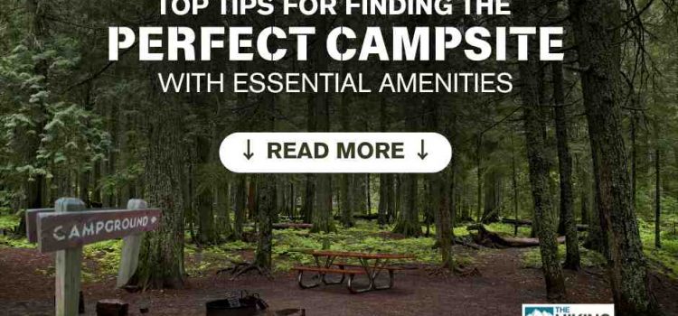 Conseils d’experts pour votre prochain voyage Conseils d'experts pour votre prochain voyage