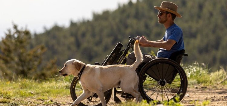 Leçons de vie d’un chien : une leçon de patience Leçons de vie d'un chien : une leçon de patience