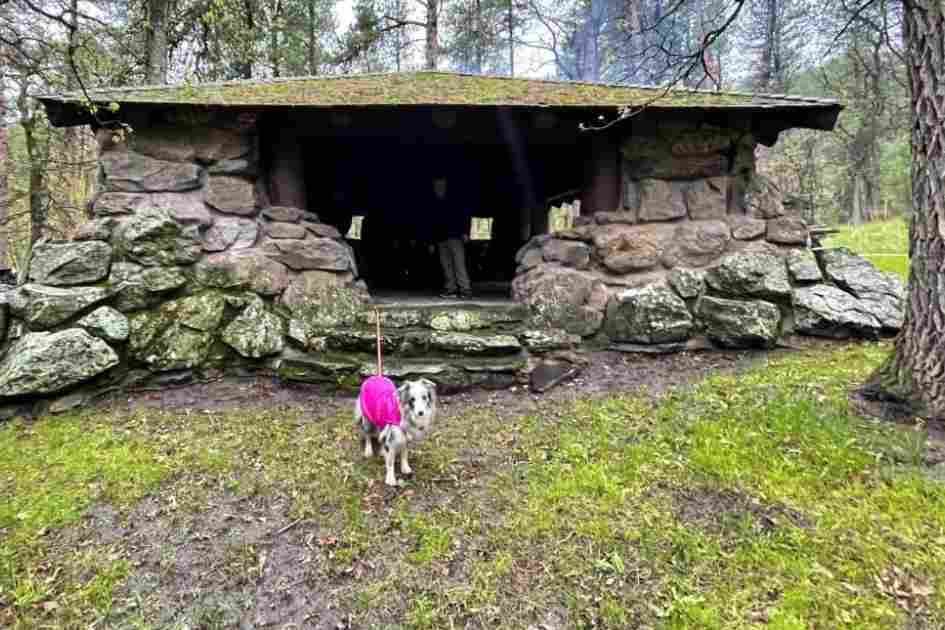 [Titre du site] Conseils essentiels pour camper sous la pluie : restez au sec et au chaud