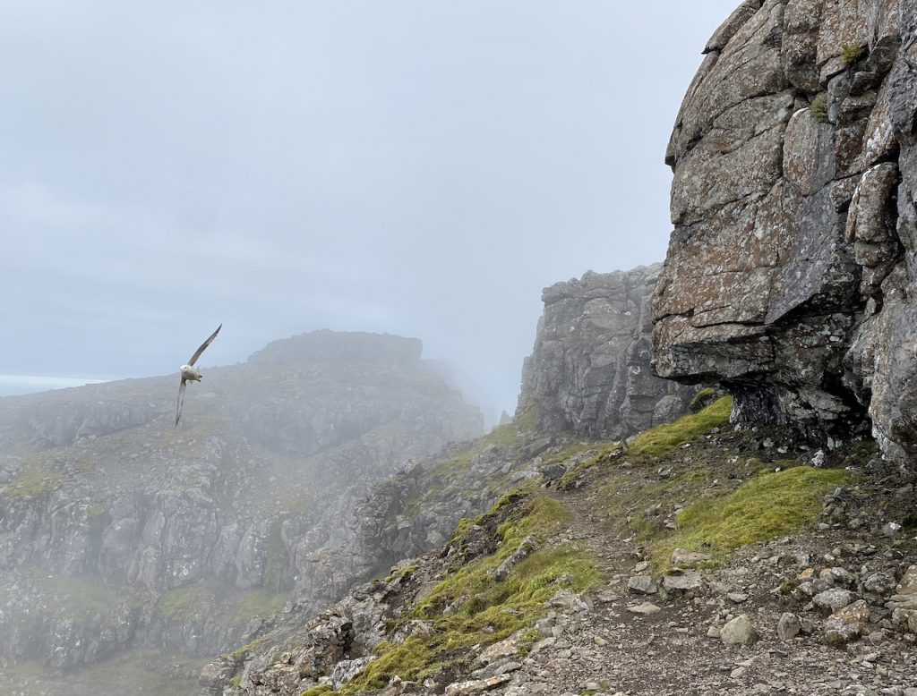 [Titre du site] Randonnée jusqu'au plus haut promontoire du monde