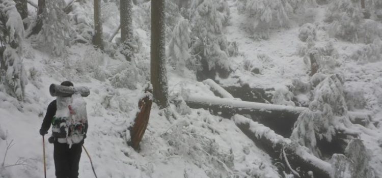 Les 30 meilleures offres du Black Friday pour les randonneurs (2024)
