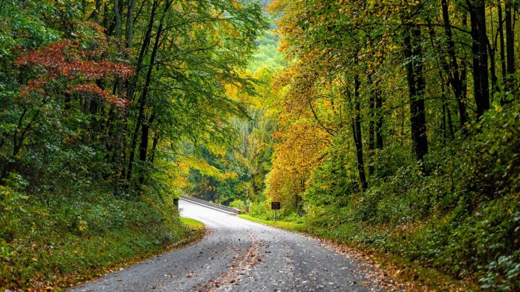 L'achat de terres par une organisation à but non lucratif protège à jamais la région de Balsam Gap