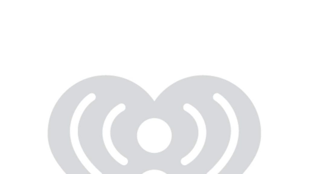 L'âne du zoo de Franklin Park reçoit un amour supplémentaire pour la Journée mondiale de l'âne