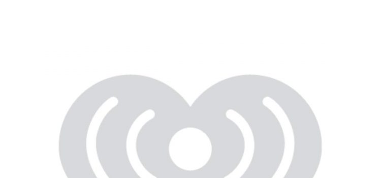 L'âne du zoo de Franklin Park reçoit un amour supplémentaire pour la Journée mondiale de l'âne
