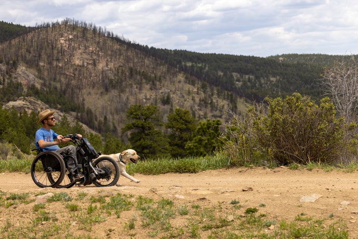 [Titre du site] Leçons de vie d'un chien : une leçon de patience