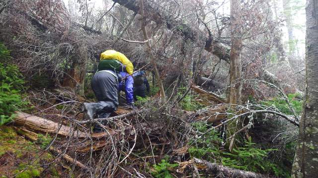 [Titre du site] Navigation en pleine nature : planifier des itinéraires efficaces pour la randonnée hors sentier