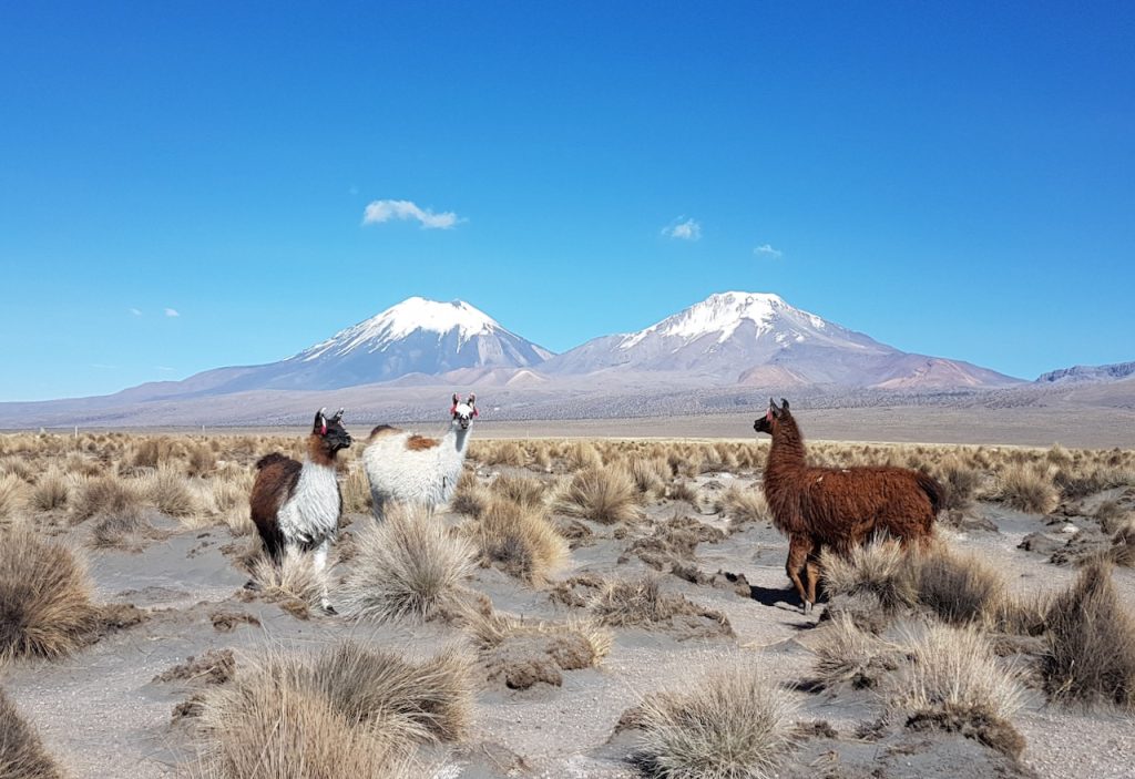 [Titre du site] Une randonnée classique sur l'Altiplano bolivien
