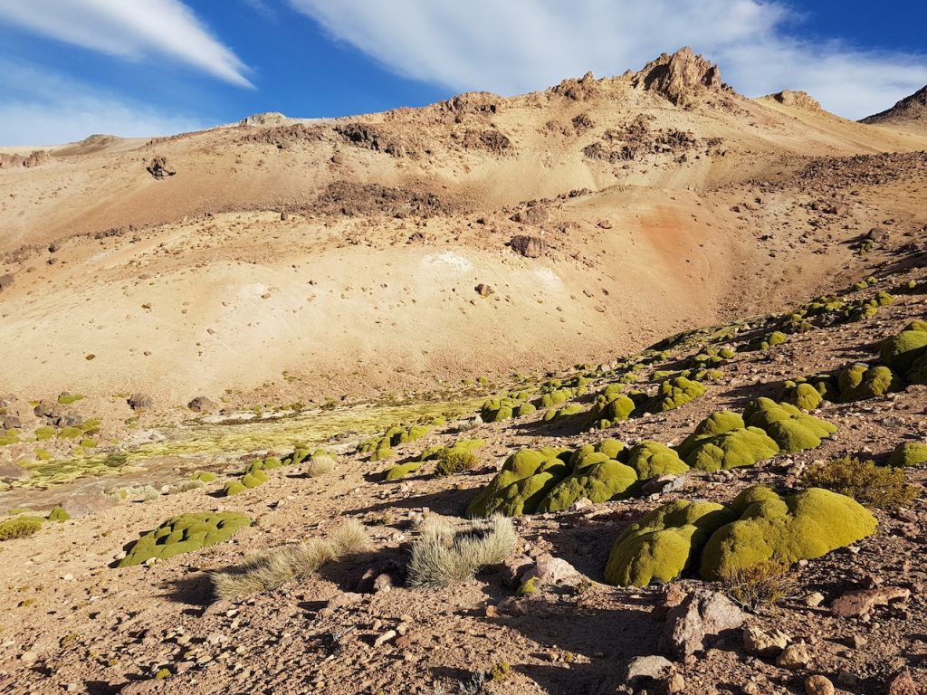 [Titre du site] Une randonnée classique sur l'Altiplano bolivien