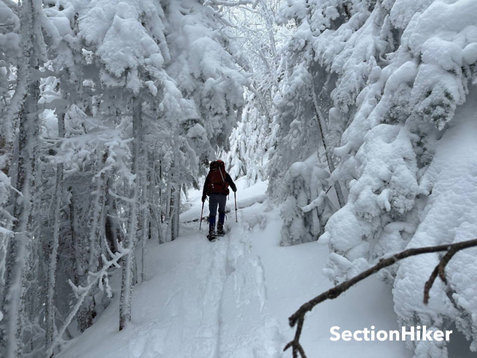 [Titre du site] Randonnée à Mendon Peak : une aventure stimulante dans le Vermont