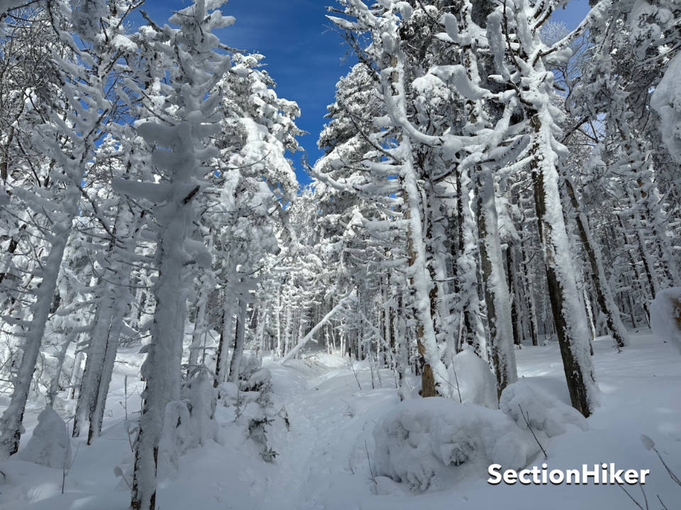 [Titre du site] Découvrez la beauté de la randonnée sur le mont Abraham en hiver