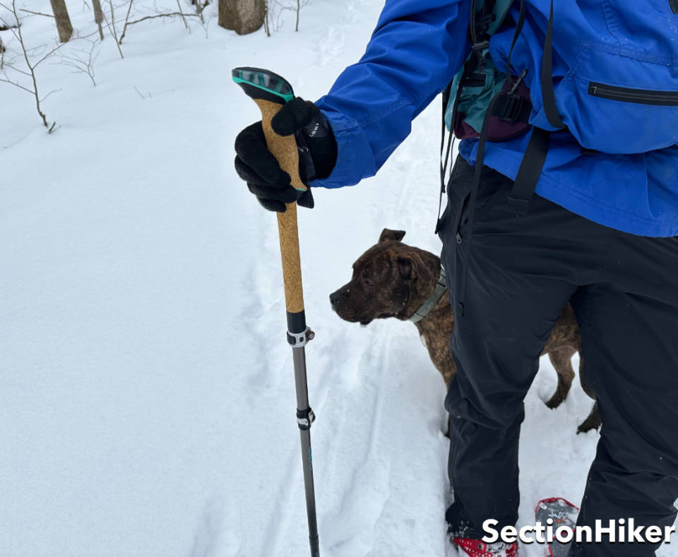 [Titre du site] Leki Cressida FX Carbon: les pôles de trekking ultimes pour les femmes