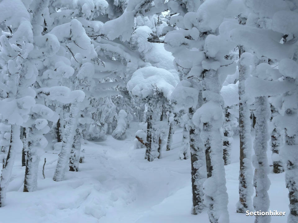[Titre du site] CHAMELS CHAMELS HUMP: Une aventure d'hiver au Vermont