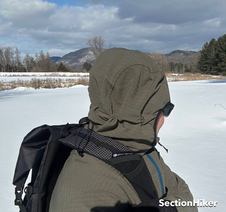 [Titre du site] Patagonia R1 Techface Fleece Sweat à capuche: Companion météo cool