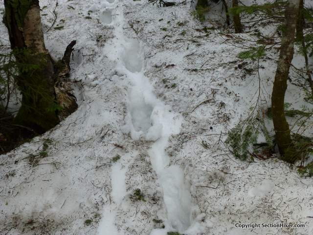 [Titre du site] Randonnées des chaussures pour le printemps: bottes ou coureurs de sentier?