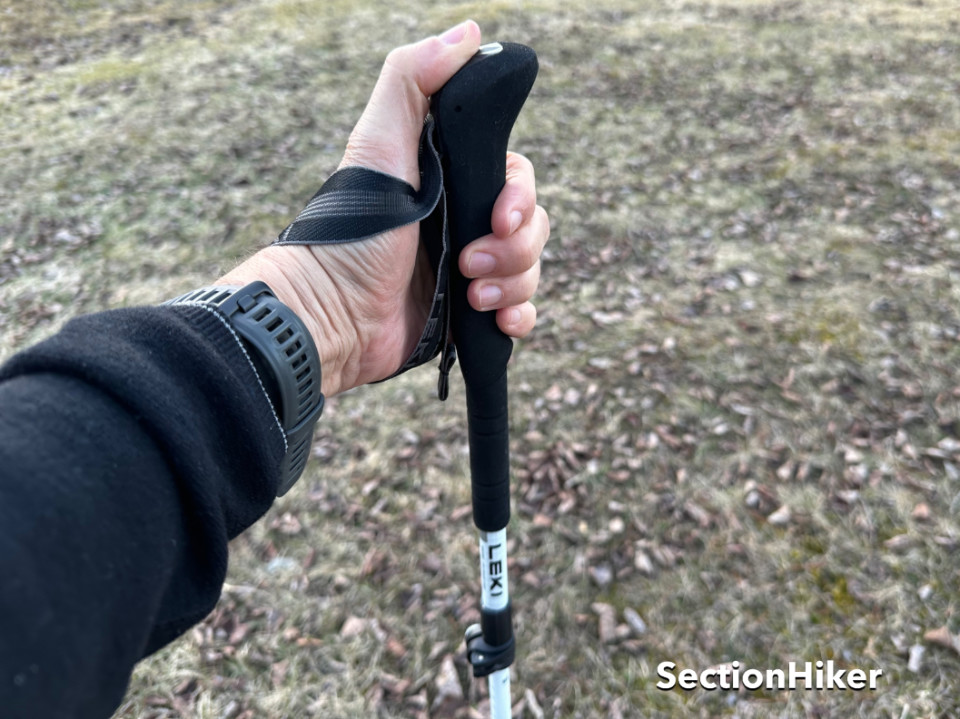 [Titre du site] Leki Skytera FX Carbon SL Trekking Polon