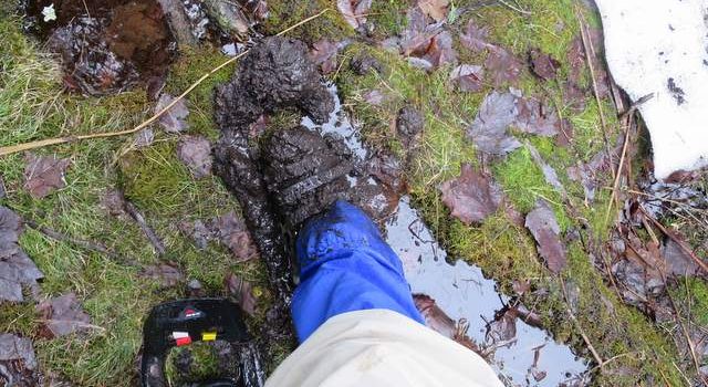 Randonnées des chaussures pour le printemps: bottes ou coureurs de sentier? SectionHiker.com