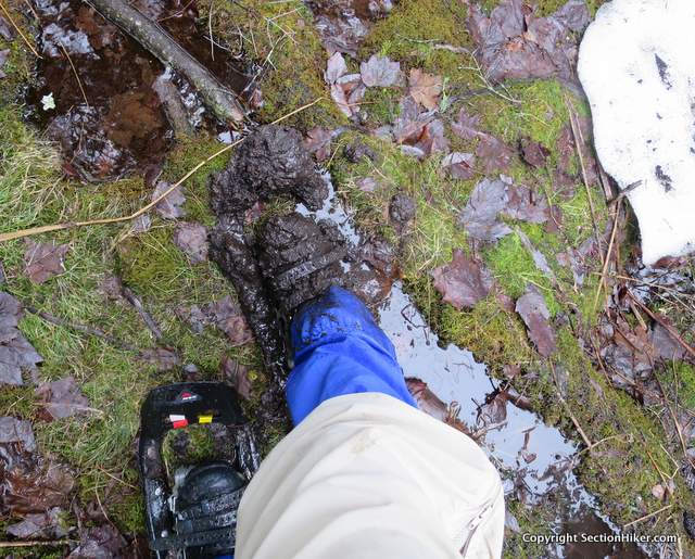 [Titre du site] Randonnées des chaussures pour le printemps: bottes ou coureurs de sentier?