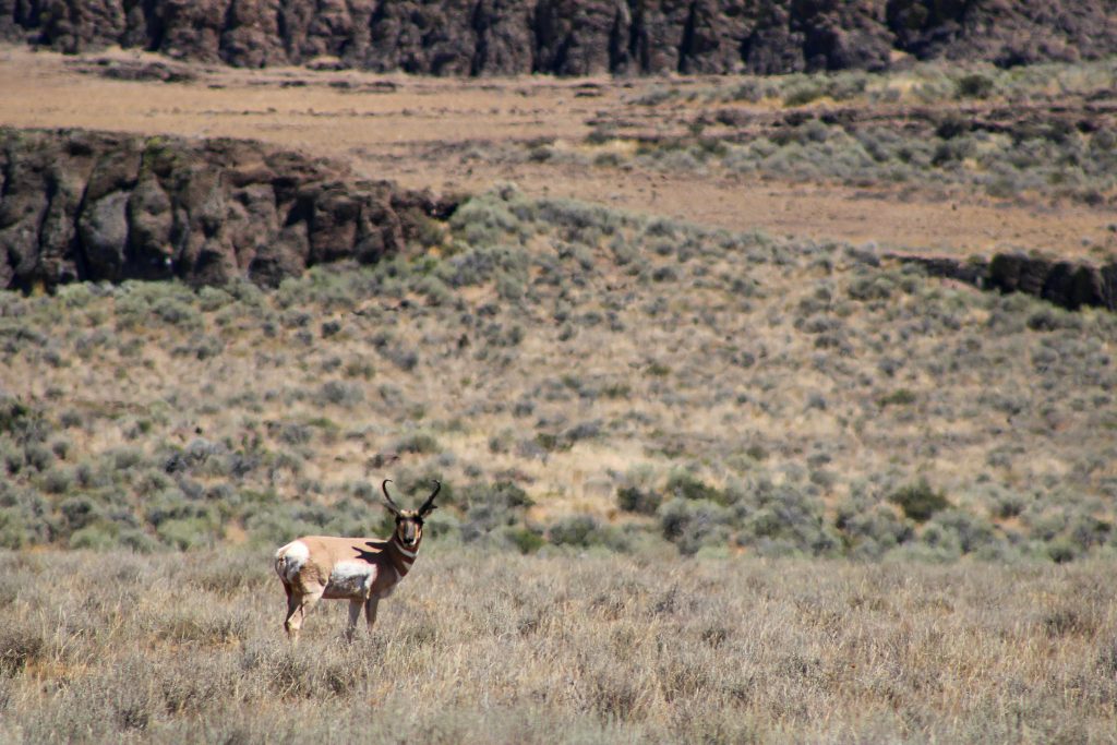 Le comité de la Chambre approuve les ventes de terrains publics fédéraux